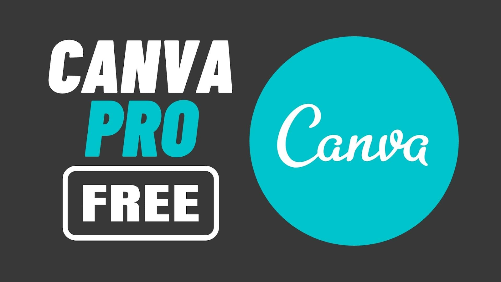 Get Canva Pro for Free in 2024